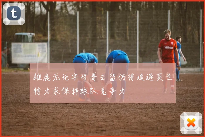 雄鹿无论字母哥去留仍将追逐莫兰特力求保持球队竞争力